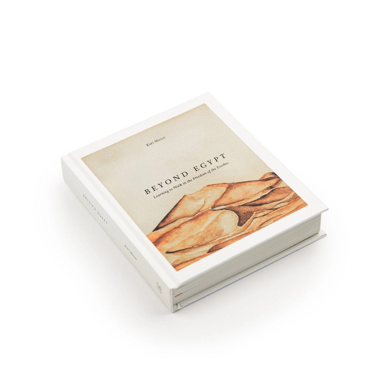 Beyond Egypt By Kari Minter