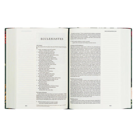 ESV Large Print Journaling Bible: Hollis, New Hampshire Theme