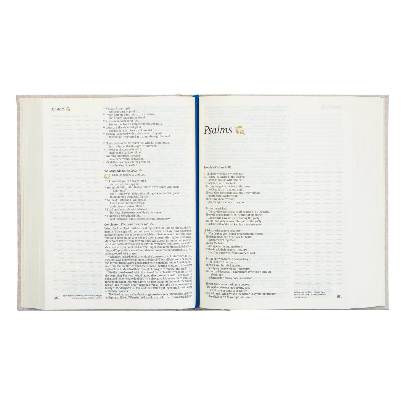 NLT Notetaking Bible : Adelaide, Australia Theme