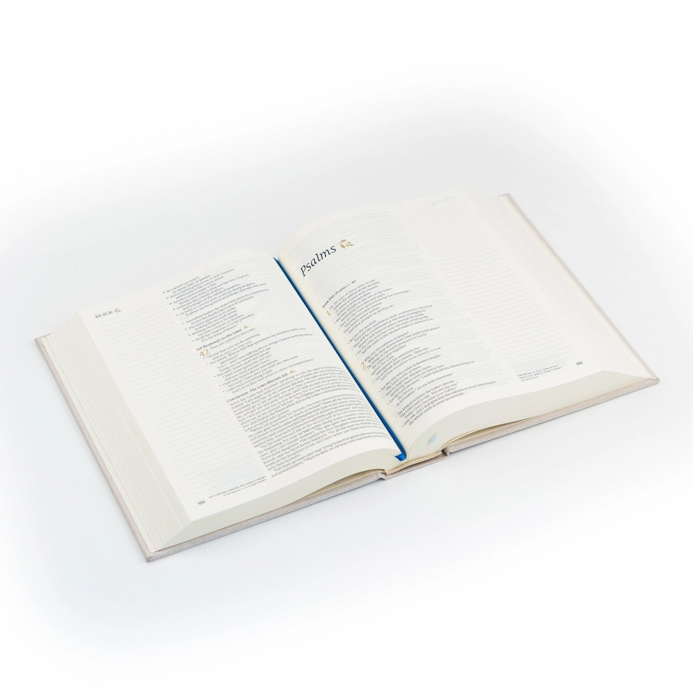 NLT Notetaking Bible : Adelaide, Australia Theme