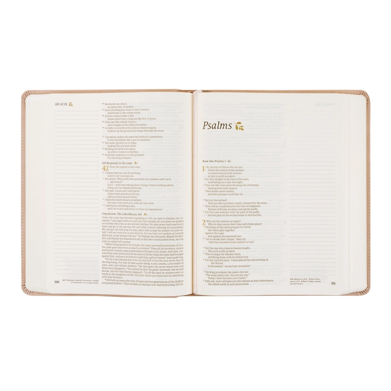 NLT Notetaking Bible : Shiloh, Georgia Theme