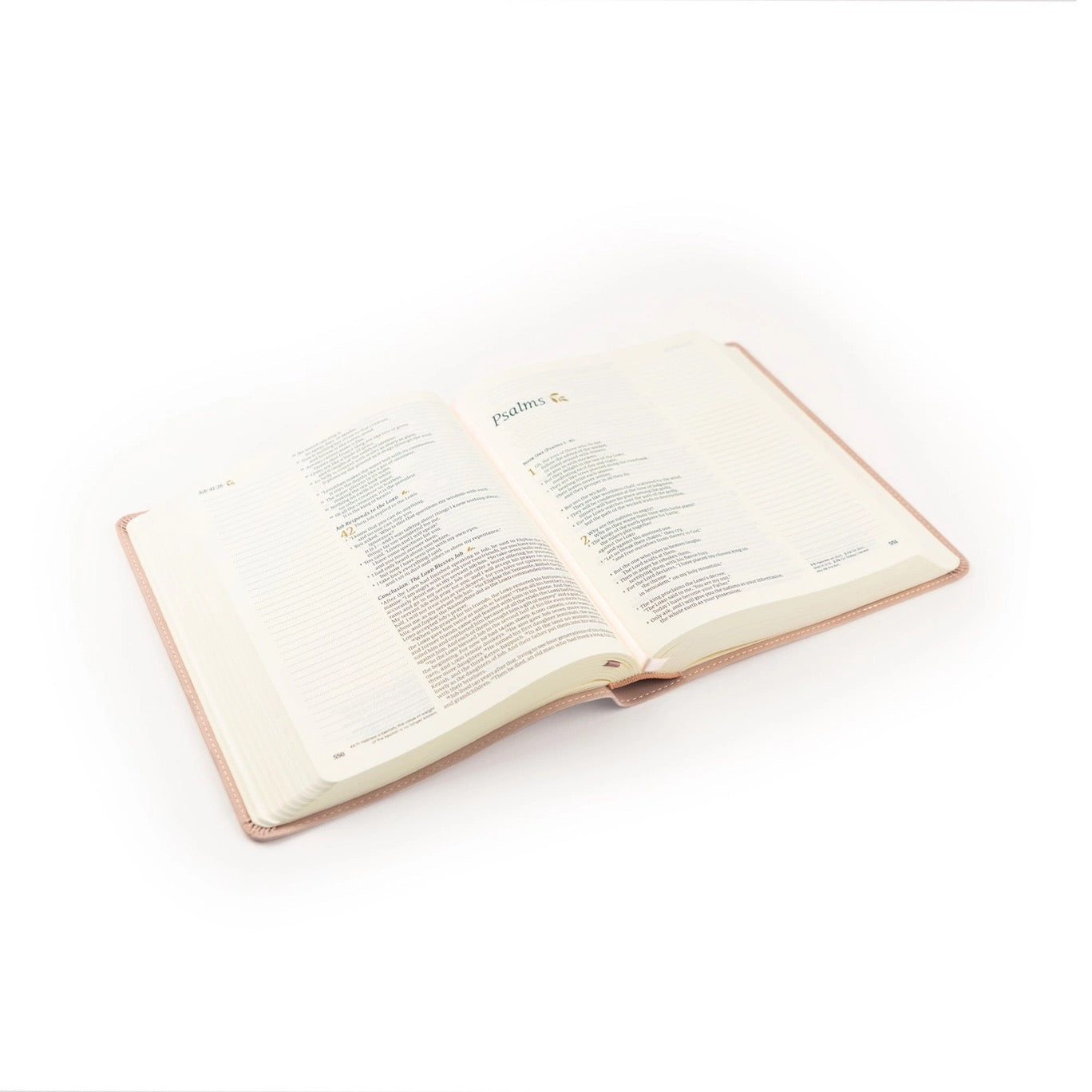 NLT Notetaking Bible : Shiloh, Georgia Theme