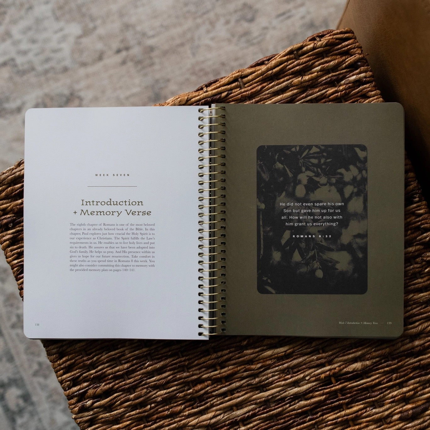 In Christ Alone: A Men's Study On the Book of Romans