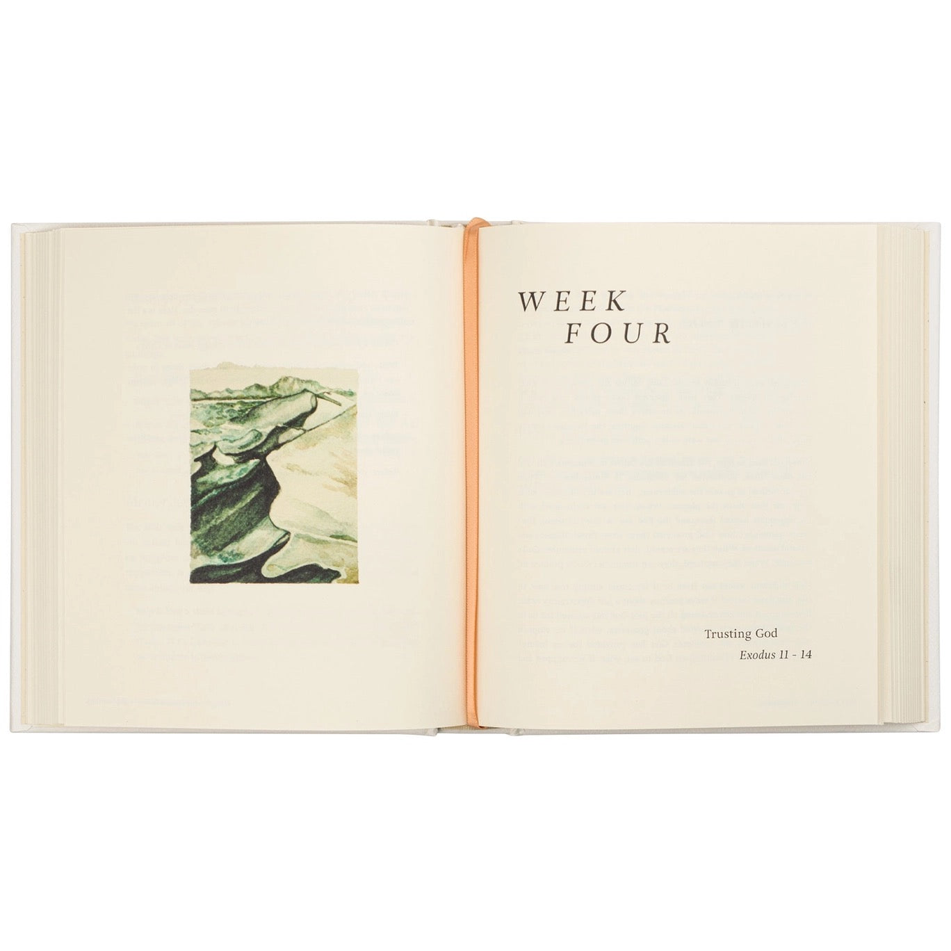 Beyond Egypt By Kari Minter