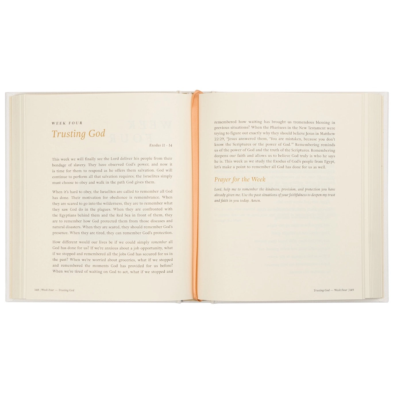 Beyond Egypt By Kari Minter