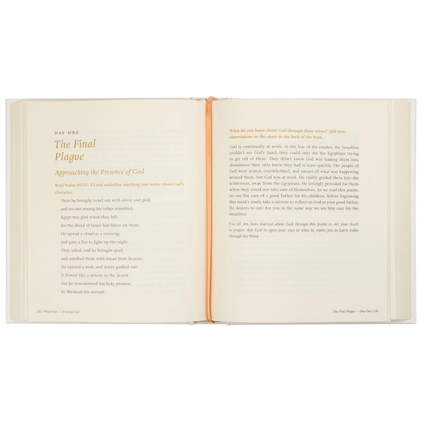 Beyond Egypt By Kari Minter