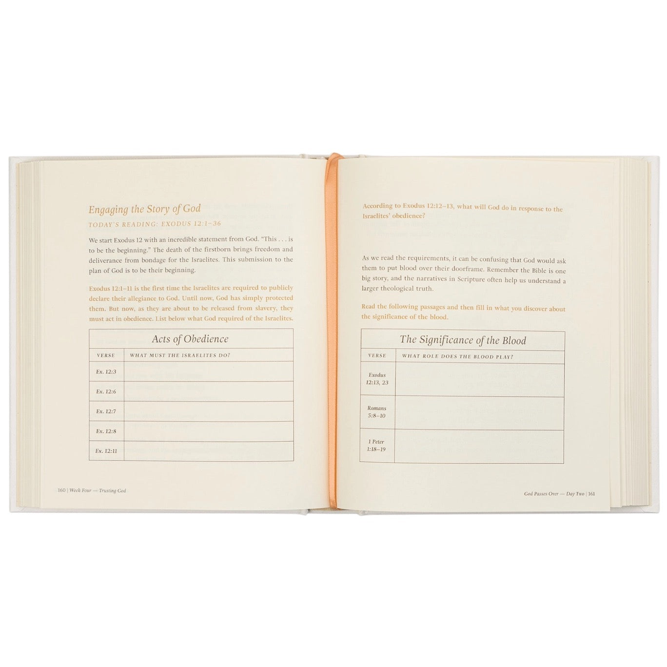 Beyond Egypt By Kari Minter