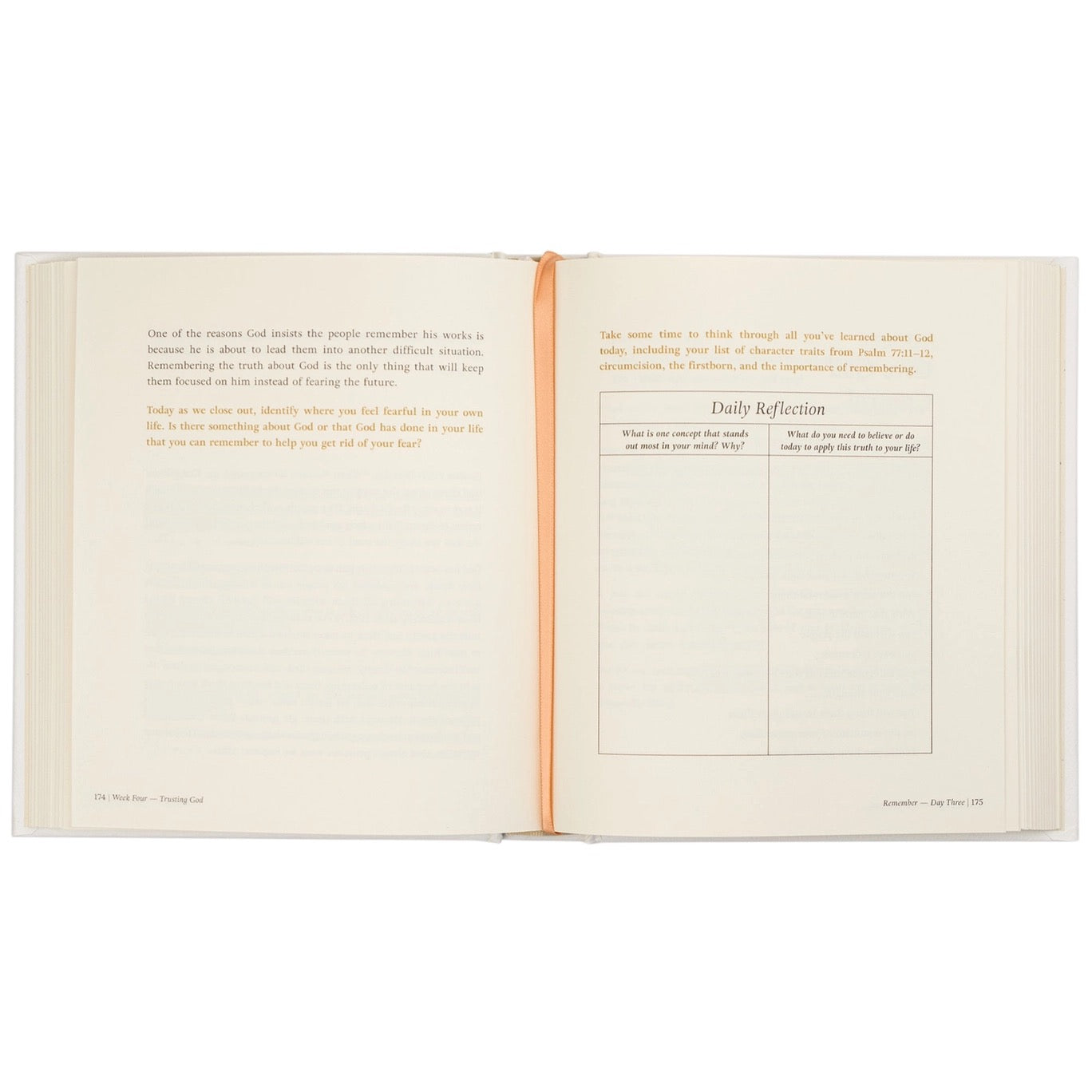 Beyond Egypt By Kari Minter