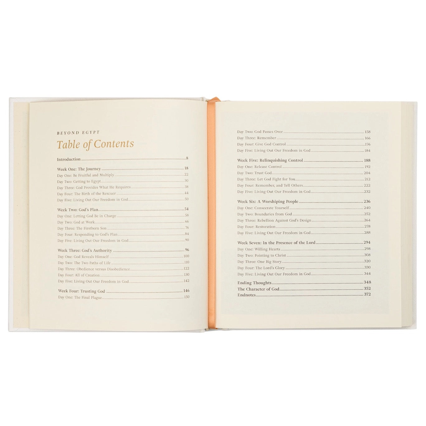 Beyond Egypt By Kari Minter