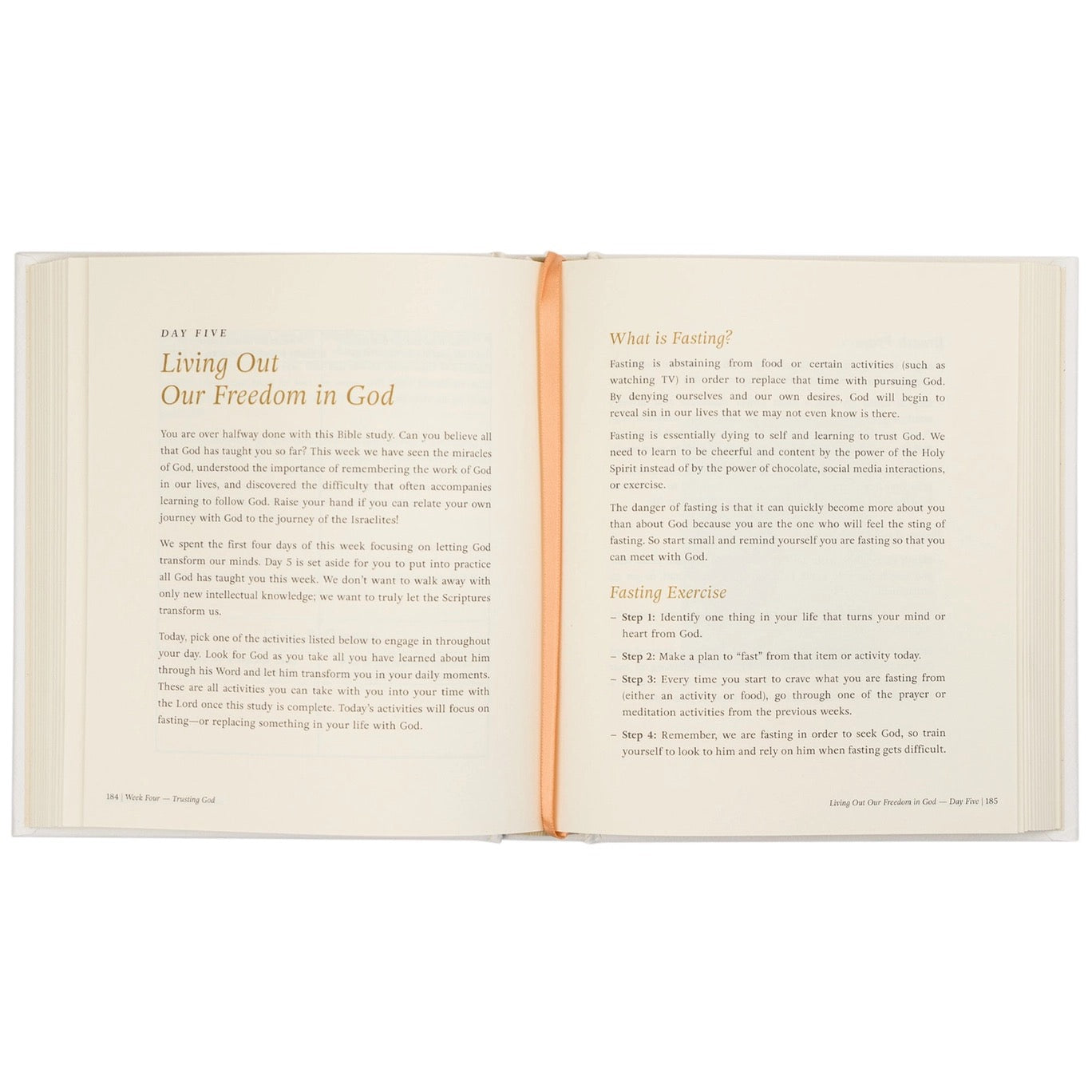 Beyond Egypt By Kari Minter