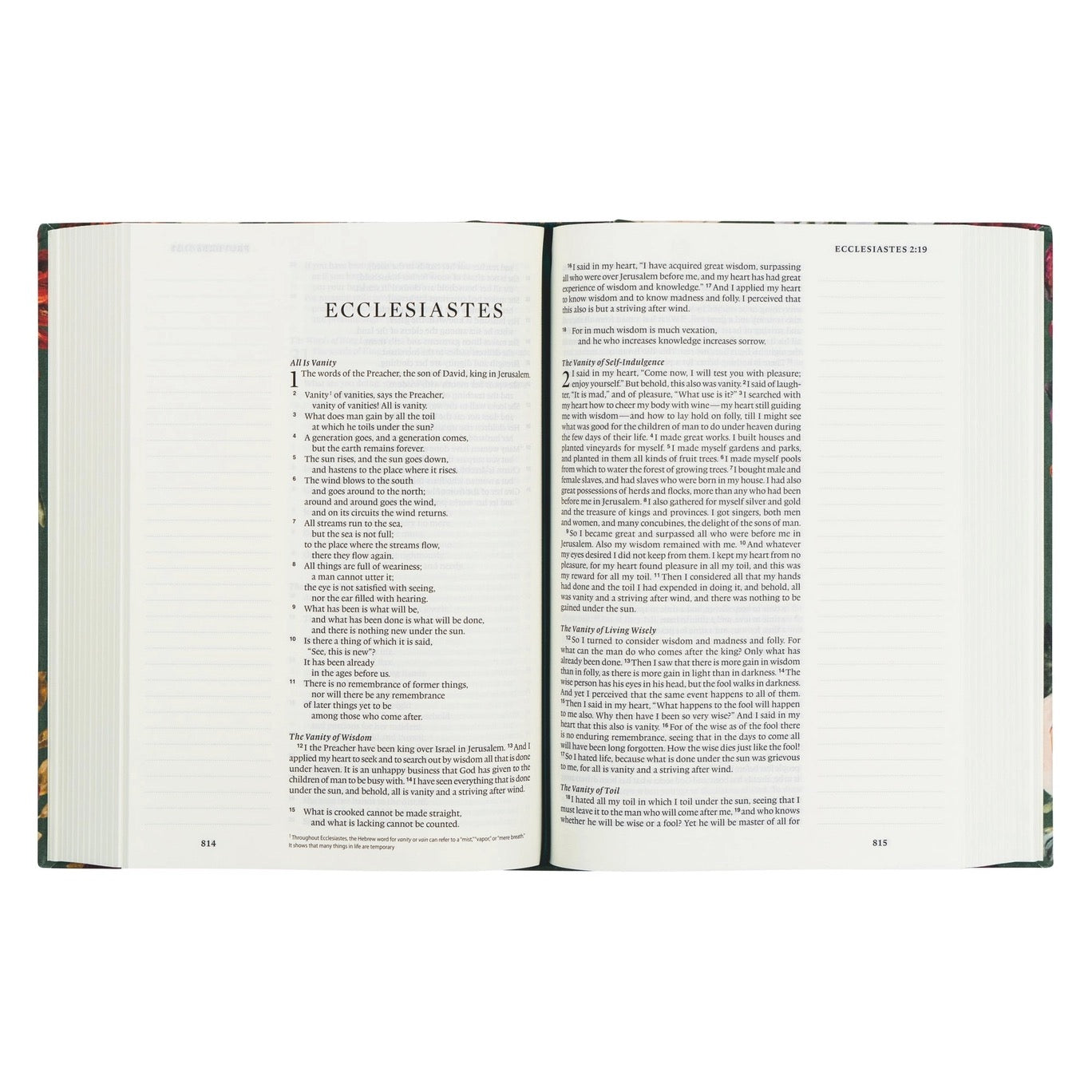 ESV Large Print Journaling Bible: Hollis, New Hampshire Theme