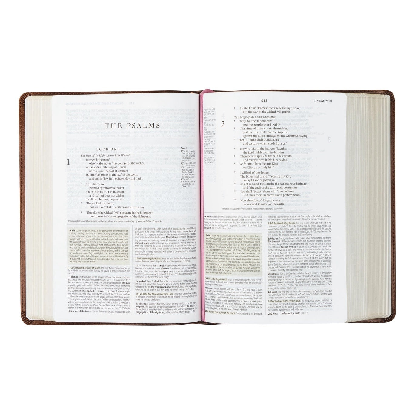 ESV Study Bible: Aurora, Colorado Theme
