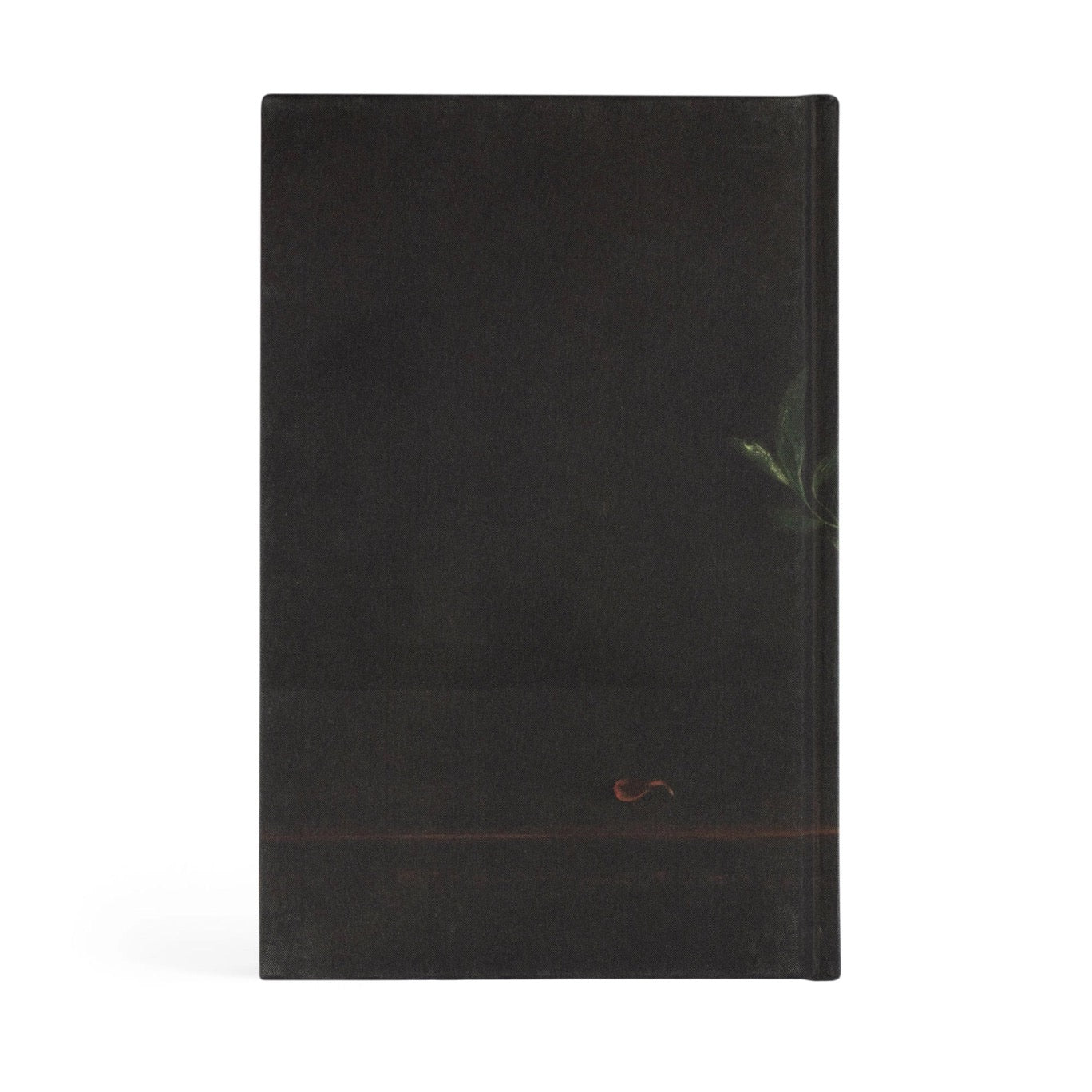 In Weeping and Rejoicing By Paige Stitt Mcbride