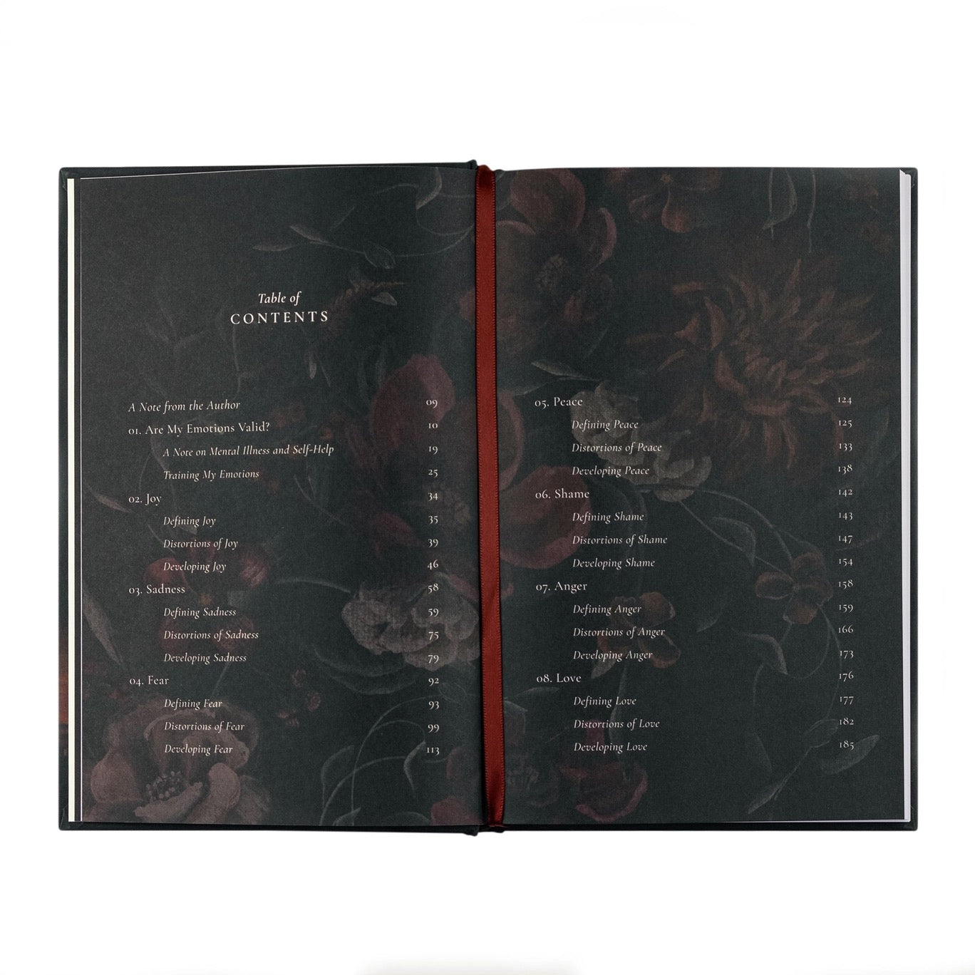 In Weeping and Rejoicing By Paige Stitt Mcbride