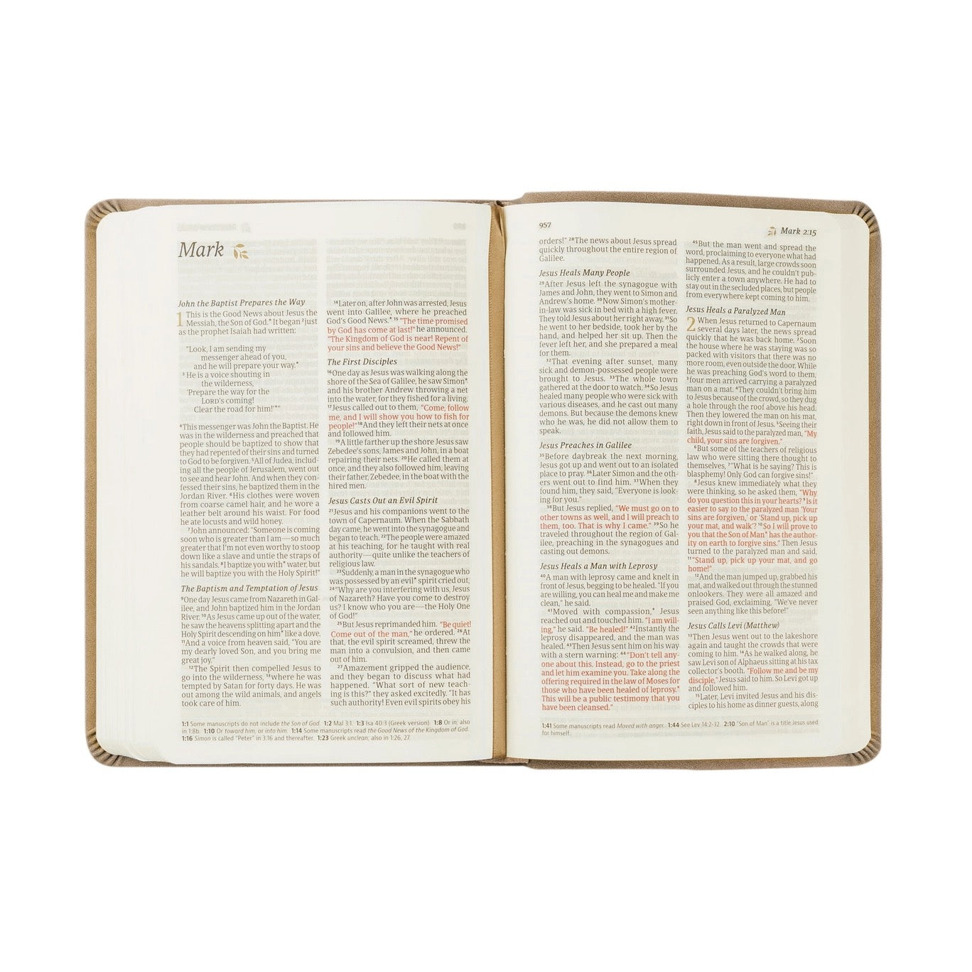 NLT Compact Bible: Marlo, Australia Theme